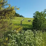 Vakantiehuis Ruehlen Schneifel Escape Auw bei Prum