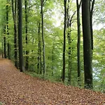 Vakantiehuis Ruehlen Schneifel Escape Auw bei Prum