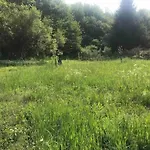 Ruehlen Schneifel Escape 度假居