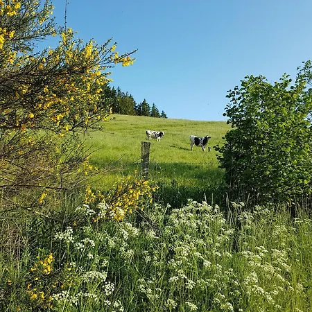 別荘 Ruehlen Schneifel Escape Auw bei Prum