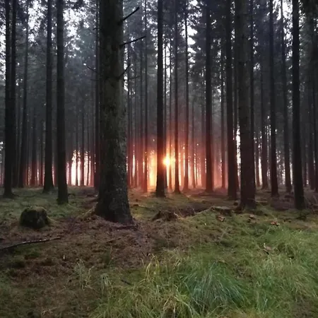 Ruehlen Schneifel Escape 別荘 *