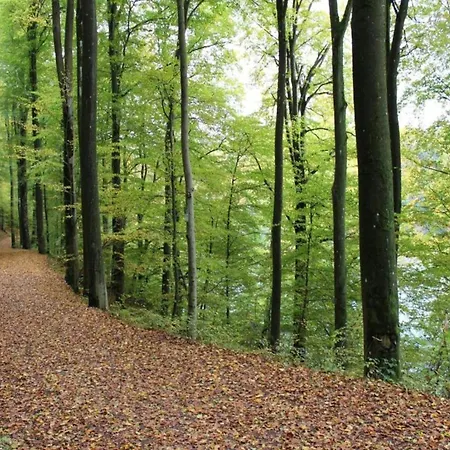 Дом отдыха Ruehlen Schneifel Escape Auw bei Prum