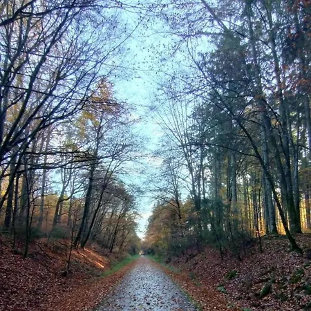 別荘 Ruehlen Schneifel Escape *