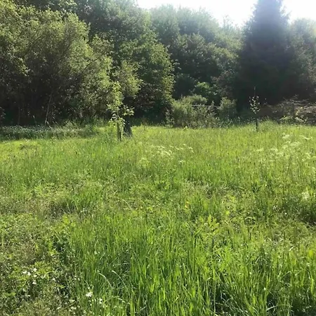 Ruehlen Schneifel Escape Дом отдыха