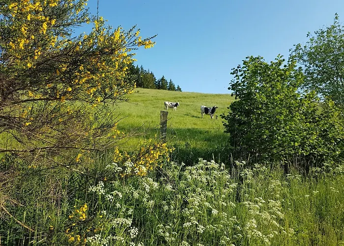 Dom wakacyjny Ruehlen Schneifel Escape Auw bei Prum