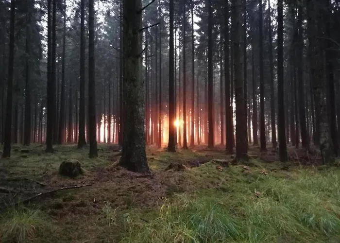 Ruehlen Schneifel Escape Dom wakacyjny *
