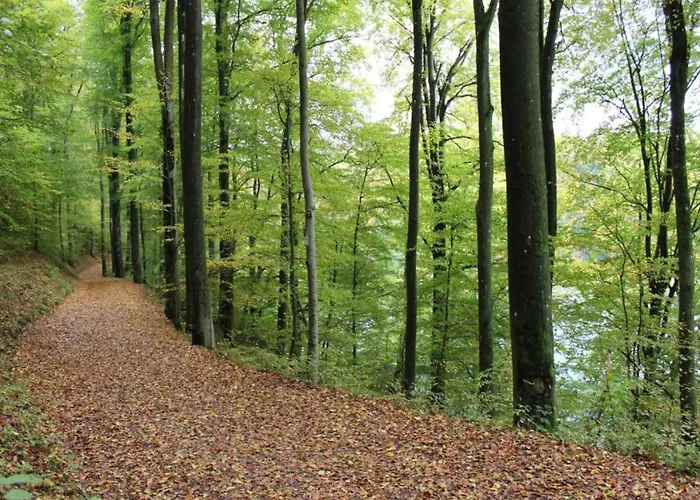 Dom wakacyjny Ruehlen Schneifel Escape Auw bei Prum