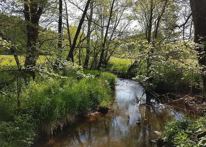 Ruehlen Schneifel Escape * Auw bei Prum