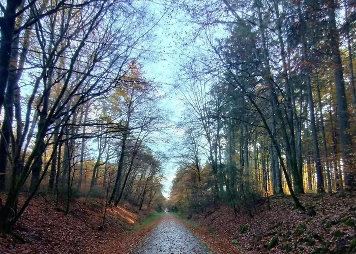 Dom wakacyjny Ruehlen Schneifel Escape *