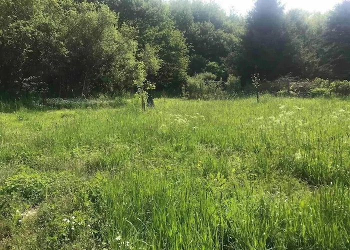 Ruehlen Schneifel Escape Dom wakacyjny