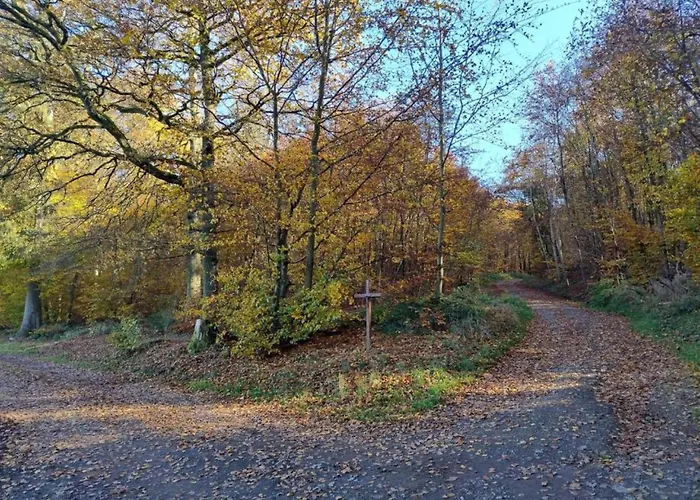 Dom wakacyjny Ruehlen Schneifel Escape *